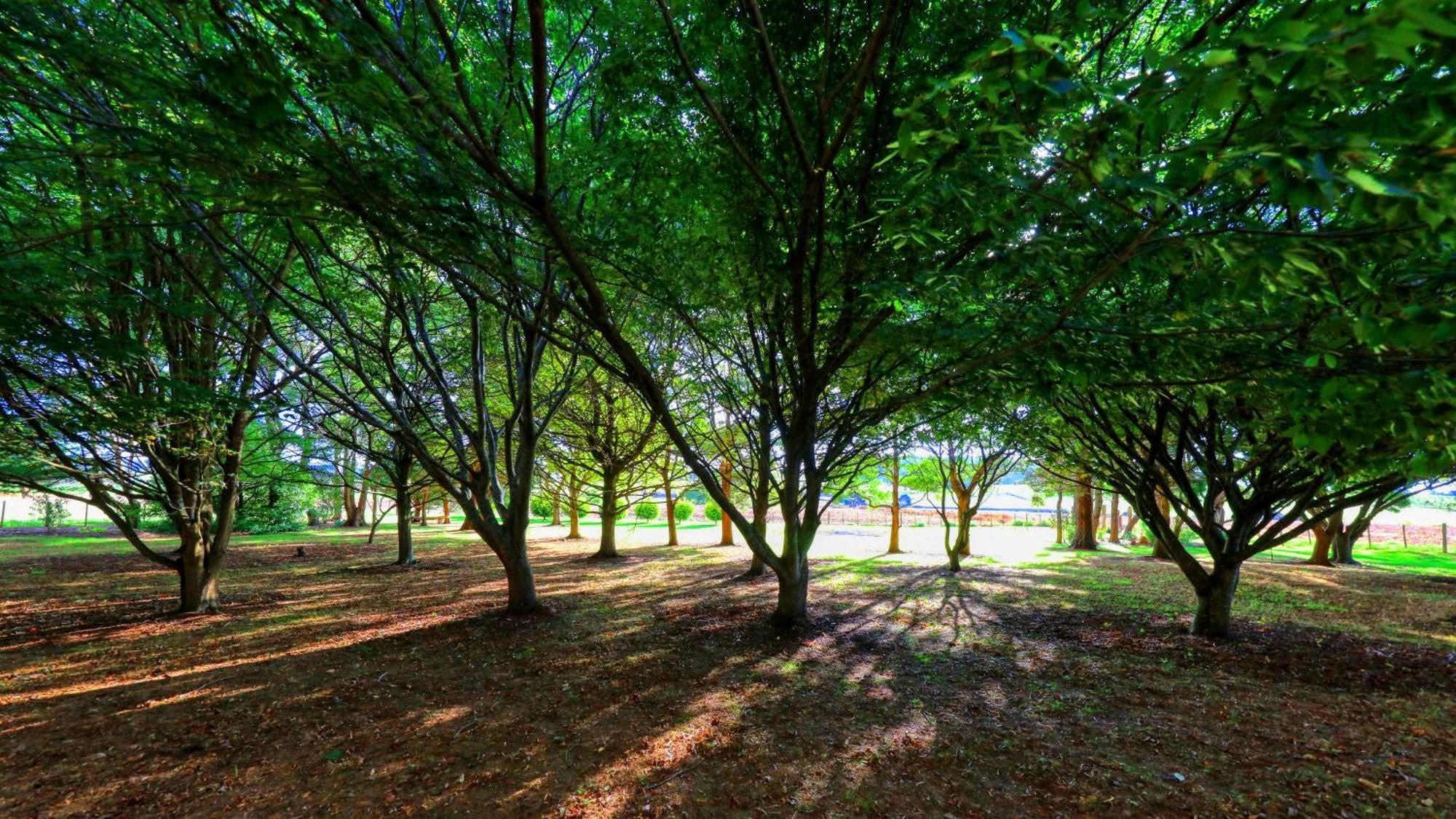 Boat Harbour Garden Cottages מראה חיצוני תמונה