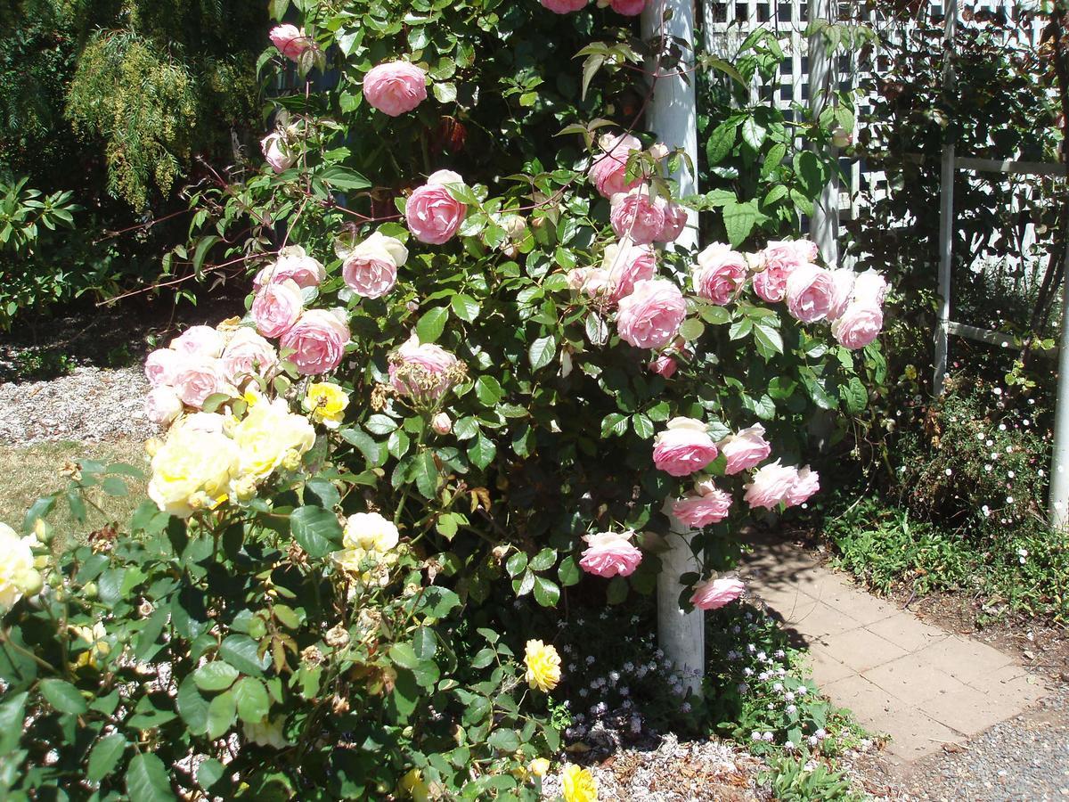 Boat Harbour Garden Cottages מראה חיצוני תמונה
